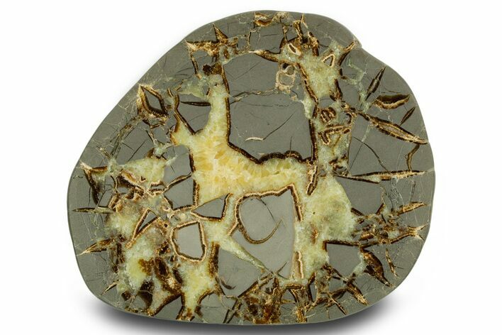 Polished Septarian Slab - Utah #378532
